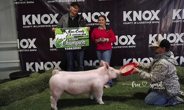 KNOX COUNTY JR. LIVESTOCK SHOW WINNERS