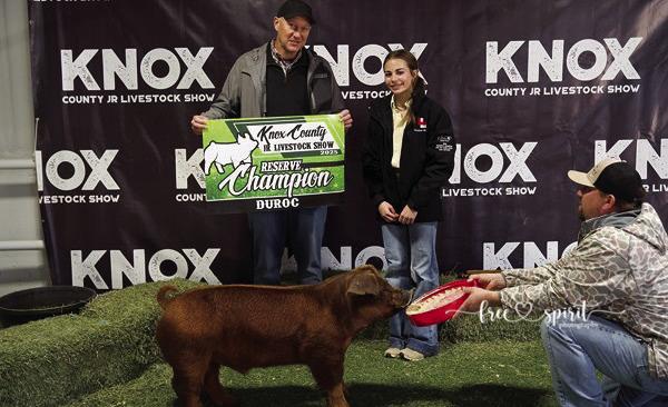 KNOX COUNTY JR. LIVESTOCK SHOW WINNERS