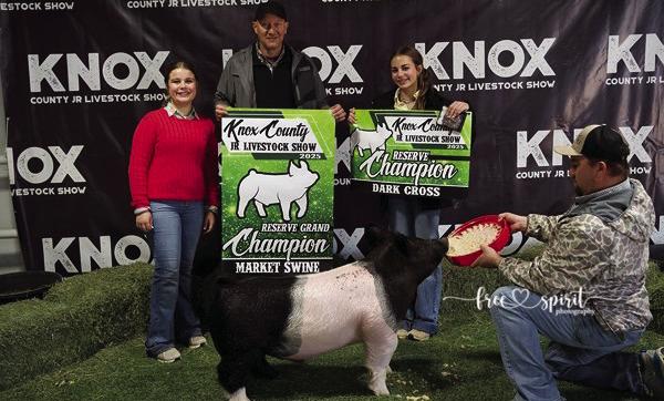 KNOX COUNTY JR. LIVESTOCK SHOW WINNERS