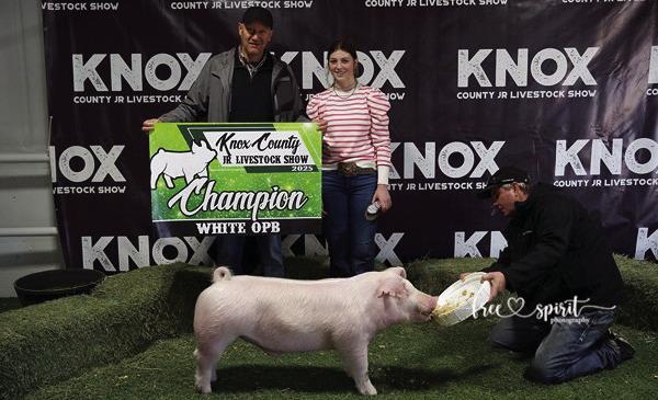 KNOX COUNTY JR. LIVESTOCK SHOW WINNERS