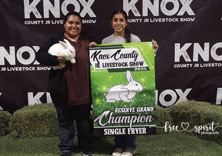 KNOX COUNTY JR. LIVESTOCK SHOW WINNERS