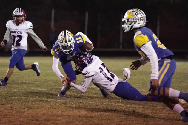 Greyhounds named District Champions