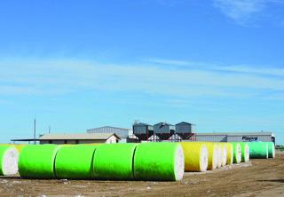 In Rhineland, Texas, ’tis the season for brightly wrapped bales and brightly shining church windows