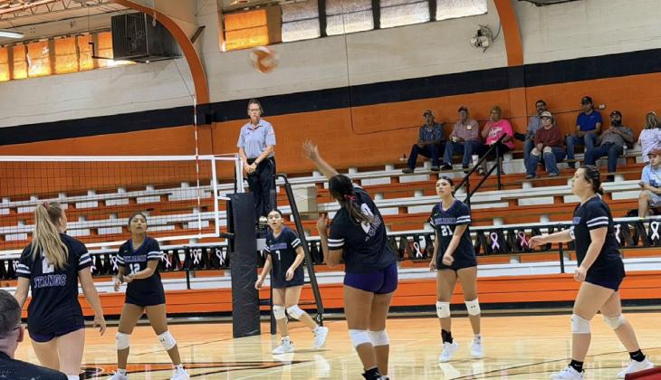 BENJAMIN VOLLEYBALL