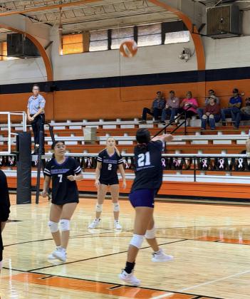 BENJAMIN VOLLEYBALL