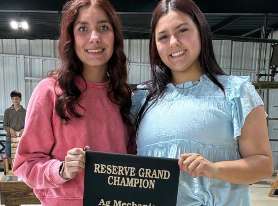 AG MECH AUBREY LERMA, BAILEY ESPINOSA RESERVE GRAND CHAMPION, WOOD