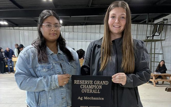 AG MECH KATELIEGH CARR, KENDALL ROBINSON GRAND CHAMPION, OVERALL, WOOD