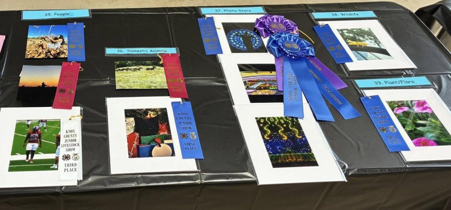 WINNERS’ CIRCLE • PROJECT FAIR