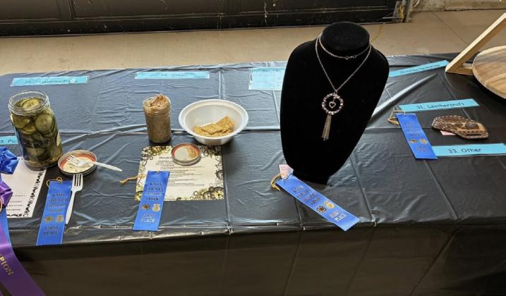 WINNERS’ CIRCLE • PROJECT FAIR