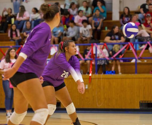 PLAYING FROMTHE BACK The Benjamin Lady Stangs pass from the back row. Benjamin took the loss 1-3 in four sets. | SHERI BATY PHOTO