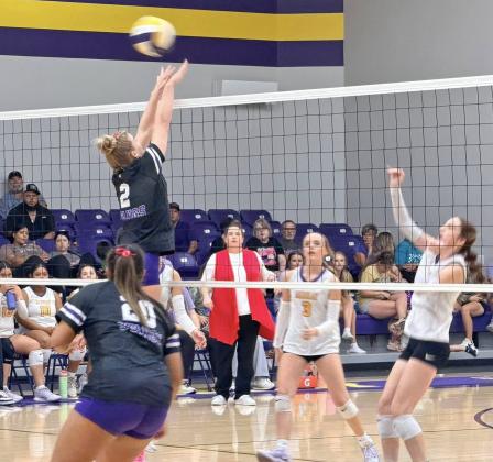 Lady Stangs corral Mogulettes to claim district volleyball crown