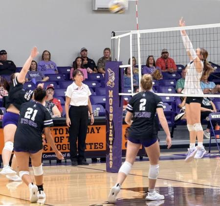 Lady Stangs corral Mogulettes to claim district volleyball crown