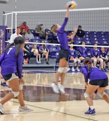 Lady Stangs corral Mogulettes to claim district volleyball crown