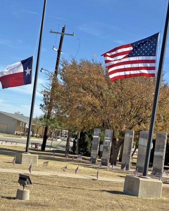 SPOTLIGHT ON VETERANS DAY