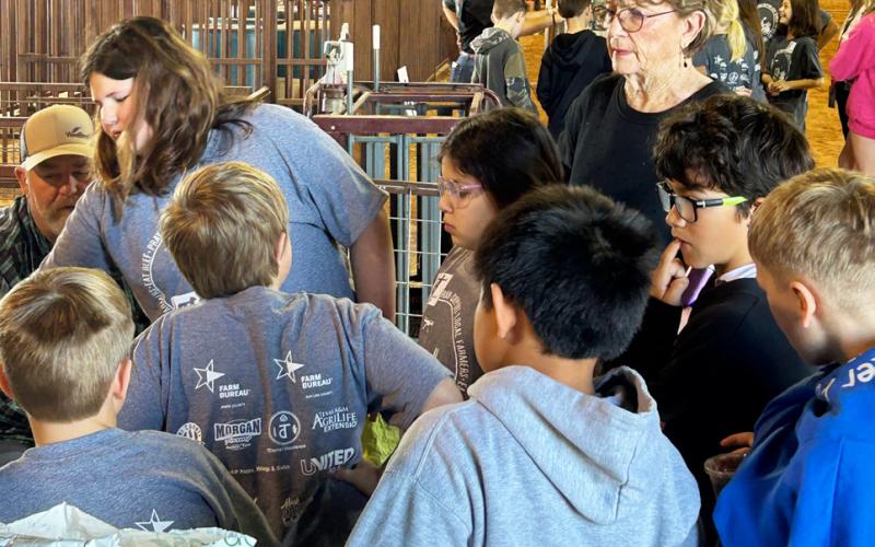 Ag in the Classroom introduces Knox 4th graders to farming and ranching