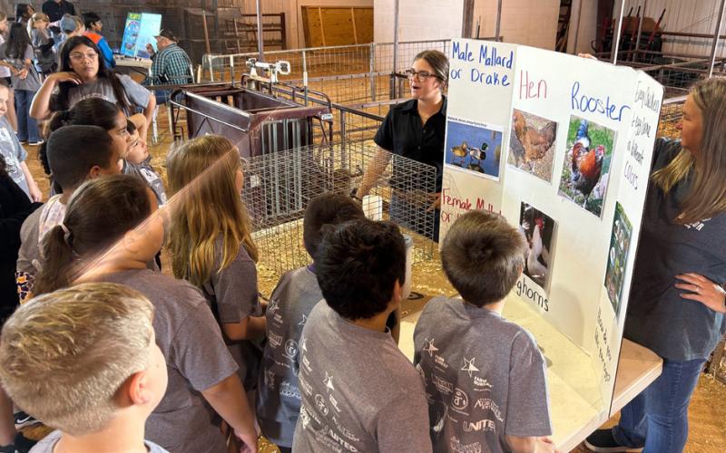 Ag in the Classroom introduces Knox 4th graders to farming and ranching