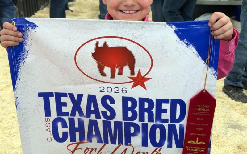TOPPLACINGDUROC Leegan Sanchez placed 2nd in his class with his lightweight duroc Big Red at the Fort Worth Junior Livestock Show. | JAYLA SANCHEZ PHOTO