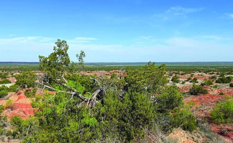 Earth Day celebration planned for April 26 at Jim Bob Art Park