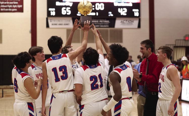 Greyhounds win Area