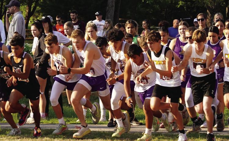 Moguls at the Starting Line. Photo by Laci Bowman