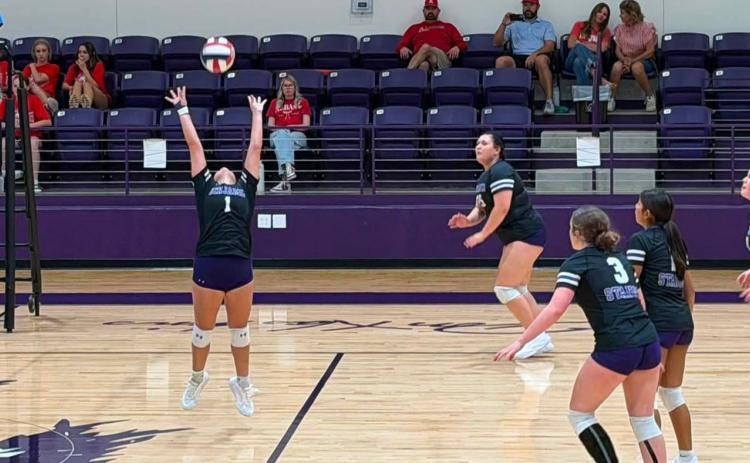 REACH FOR THE SKY In action against Albany this Lady Stang stretches to keep the ball in play, setting it for a teammate. Benjamin lost in 3 sets.