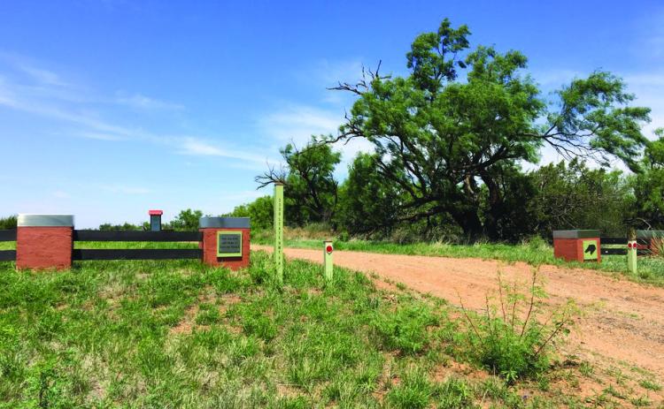 SAVETHEDATE The Jim Bob Art Park &amp; NatureTrails rural sculpture garden and wildlife habitat in the 'breaks' region of Knox County will be hosting its 2nd Annual Earth Day Celebration Saturday, April 20 with artist talks, nature walks, arts, crafts and more. | COURTESY PHOTO