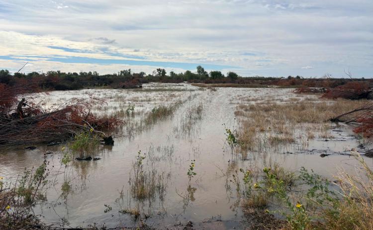 Rolling Plains Groundwater District changes well limits