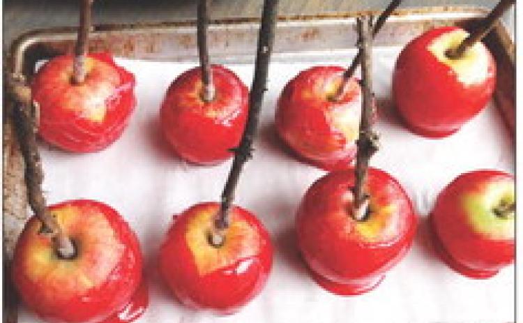 Candied applies a perfect fall treat for any occasion