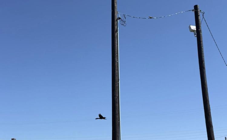 WAIT FOR IT … A new 3-phase siren was installed and connected by AEP, through a joint effort of Knox City officials and community members. The initial test has not been set, according to the Knox City Police Department. | COURTESY PHOTO
