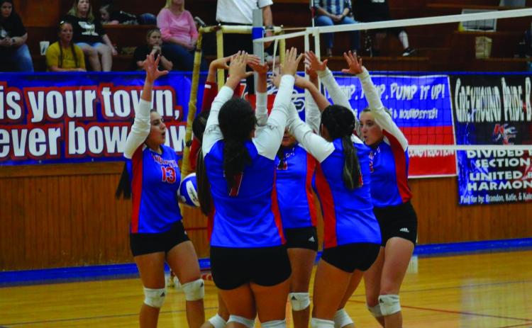 Houndettes Celebrate a Huge Block by Sophomore Kinlee Eaton Courtesy Photo