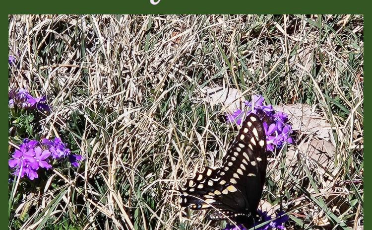 Celebrate Earth Day at the Jim Bob Art Park & Nature Trails in April 25