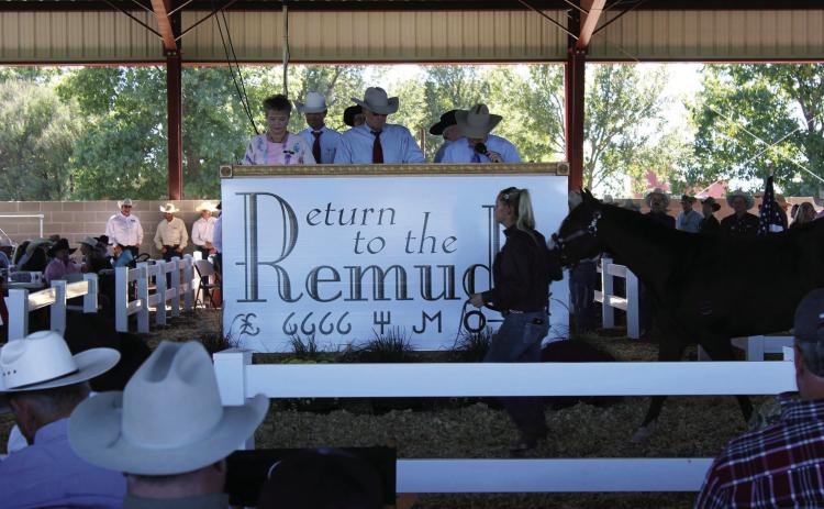 25th ANNUAL Marking its silver anniversary, this year’s Return to the Remuda sale promises to feature an exceptional selection of ranch horses from renowned breeders. Approximately 180 horses will be offered to the public from the legendary ranches of Beggs Cattle Company, Four Sixes Ranch,Tongue River Ranch, Pitchfork Land, and Cattle Company, King Ranch andWagonhound Land &amp; Livestock.The demonstrationwillbeonSeptember27,andthesalewillfollowonSeptember28. | COURTESYPHOTO
