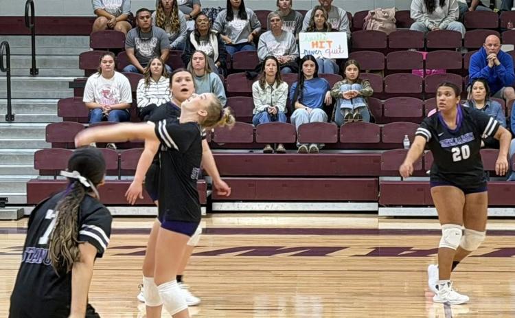 LADY STANGS END SEASON The Benjamin Lady Stangs fell in three sets to #7-ranked Veribest, a team they eliminated last year at area. The Lady Falcons defeated the Lady Stangs 25-19, 25-20, and 25-10. | COURTESY PHOTO