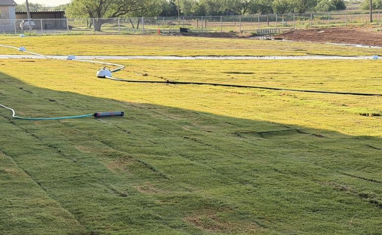 BENJAMIN GETS ENHANCEMENT NEAR NEW GYM