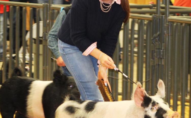 RABBITS, SWINE AND MORE