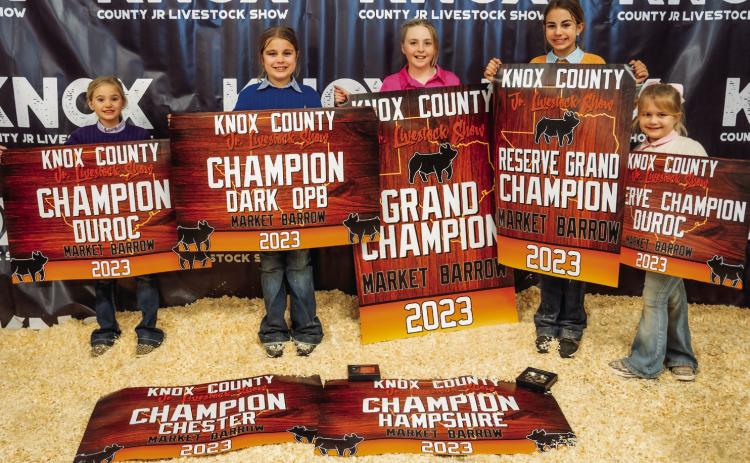 Exhibitors Take Home More Than Banners and Buckles from the Knox County Junior Livestock Show