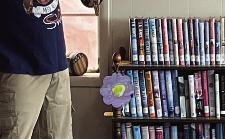 Amanda’s Library Musings