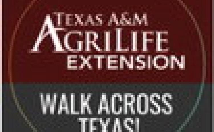 Walk Across Texas underway