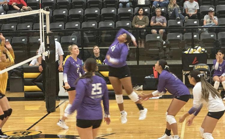 SPOTLIGHT ON LADY STANGS VOLLEYBALL