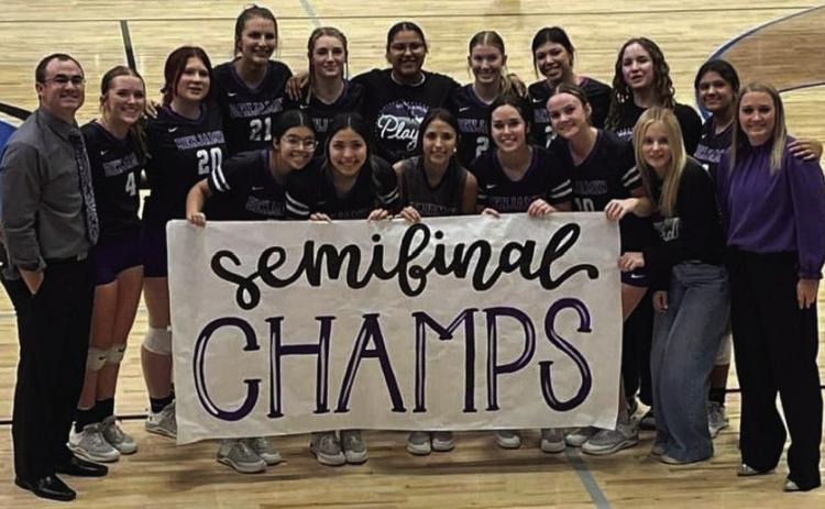 LADY STANGS SEMIFINAL CHAMPS | COURTESY PHOTO