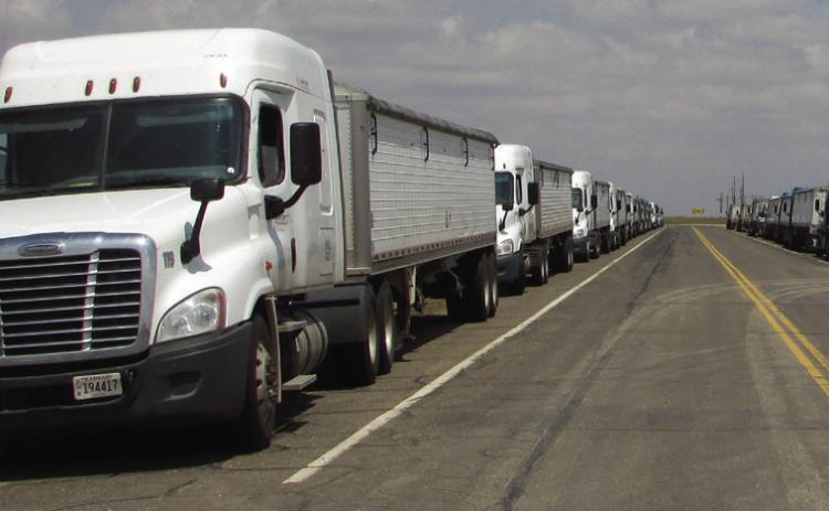 Trucks and crews sitting idle, unable to harvest wheat due to extended periods of rain. Don Thompson/The Knox County News-Courier