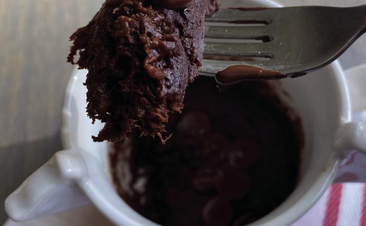 Chocolate Mug Brownie Cake