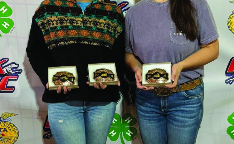 Knox City Stock Show