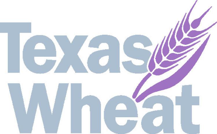Texas wheat increases research investment