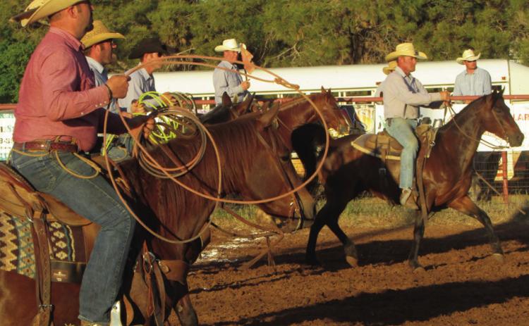 Ready to separate the calf from the herd. Don Thompson/The Knox County News-Courier