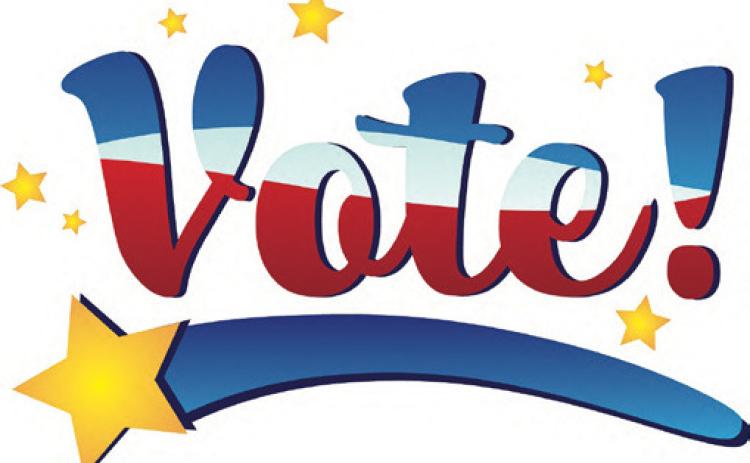 Ballots set for city councils, school boards across Knox County