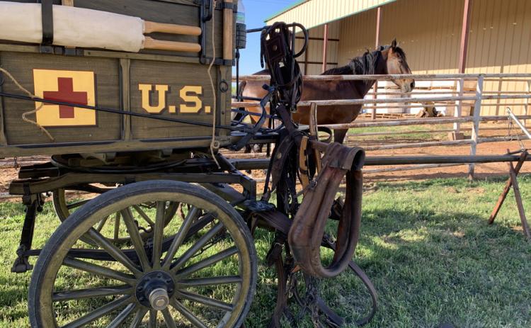 WAGONS HO A 2026 water bottle in a cupholder is the only nonauthentic feature of an 1880s U. S. Cavalry ambulance driven in a cross-country wagon train expedition and parked lastThursday at the Circle Bar horse barn at Truscott. Owned by Cliff Teinert, Albany rancher, the wagon was driven by Teinert and pulled by two big Cleveland Bays, an endangered breed. The horse in the background belongs to Circle Bar rancher Jerry Bob Daniel. | PHOTO BY HANABA MUNN WELCH