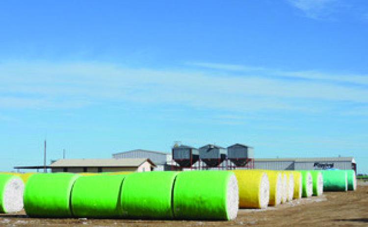 In Rhineland, Texas, ’tis the season for brightly wrapped bales and brightly shining church windows