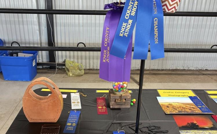 WINNERS’ CIRCLE • PROJECT FAIR