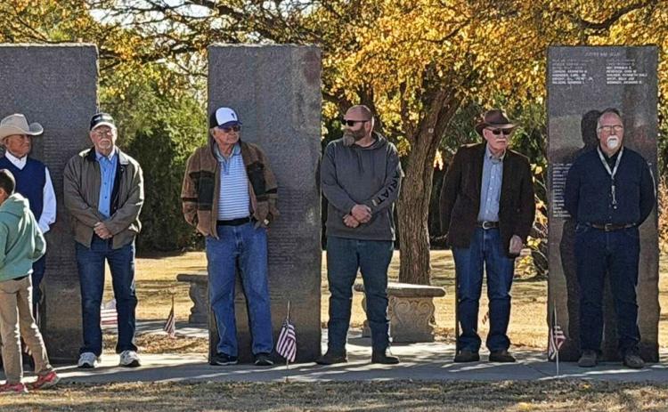SPOTLIGHT ON VETERANS DAY